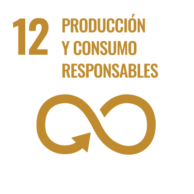 ODS 12